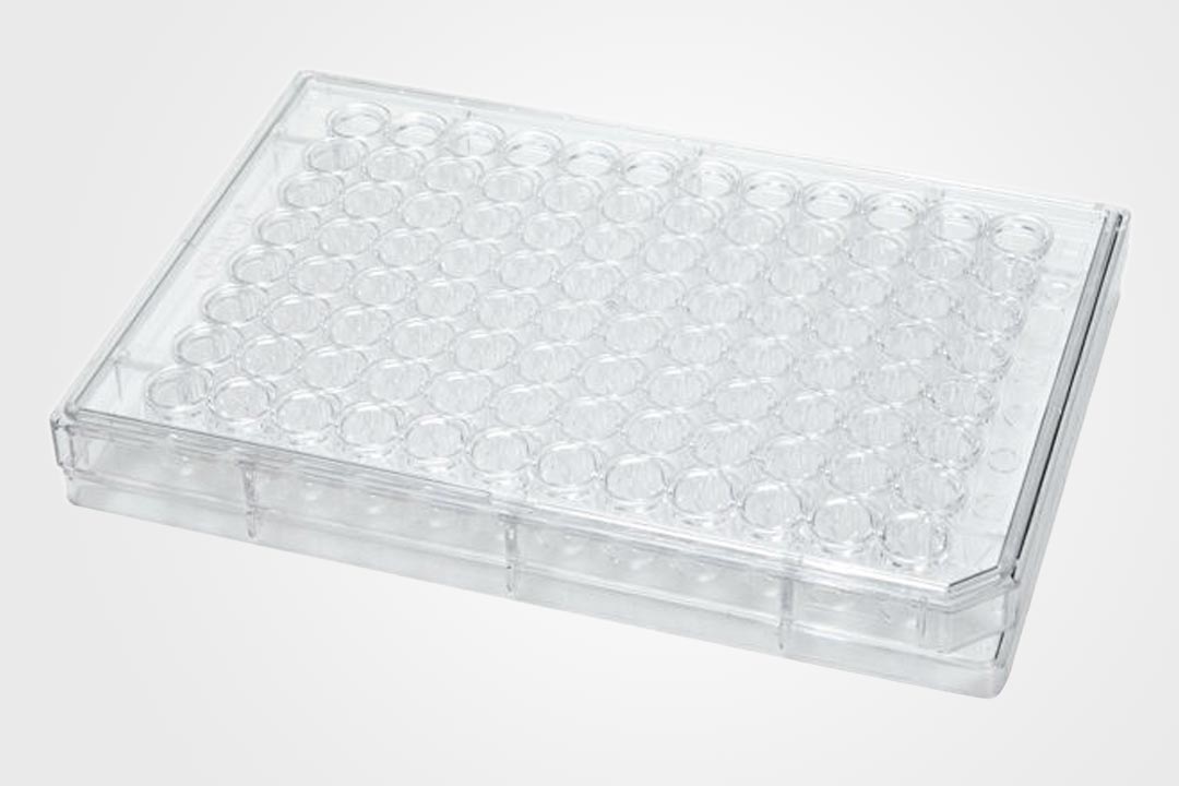 Immunology Box, Polystyrene